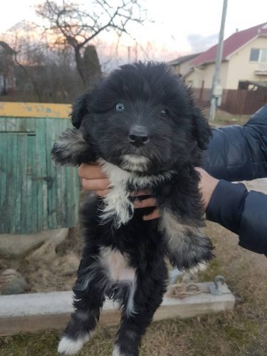 Foto